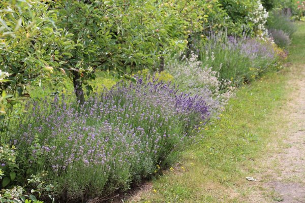 Excursion Imkerei Selzer, 