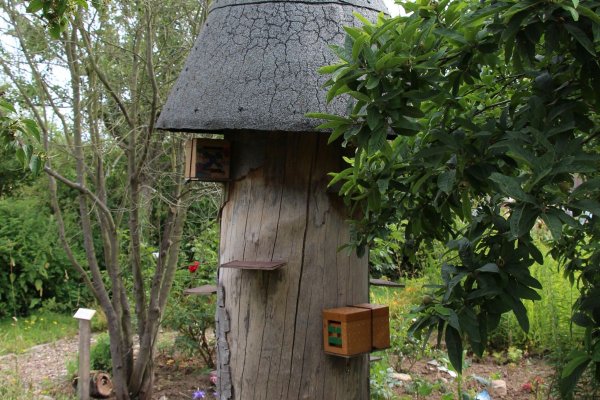 Exkursion Imkerei Selzer, 11.07.2015