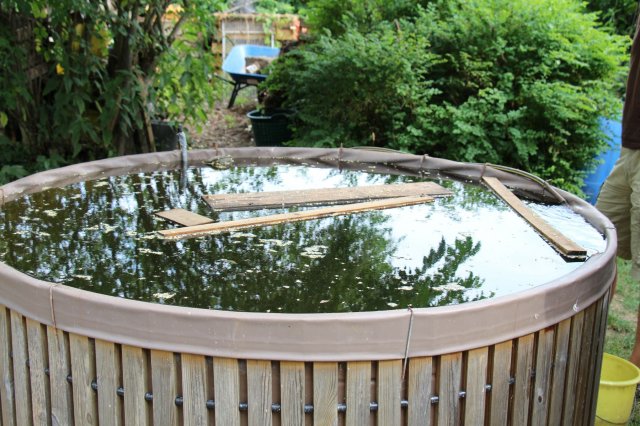 Excursion Imkerei Selzer, 