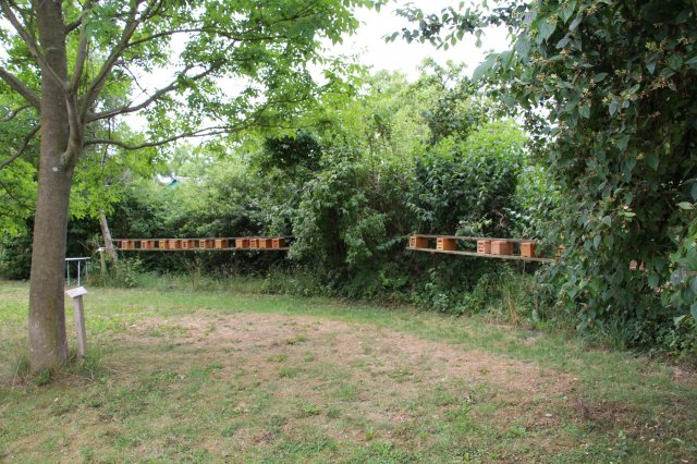 Exkursion Imkerei Selzer, 11.07.2015