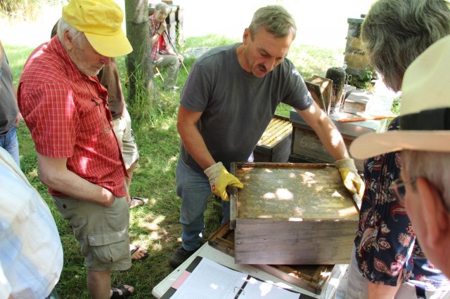 Excursion Imkerei Selzer, 