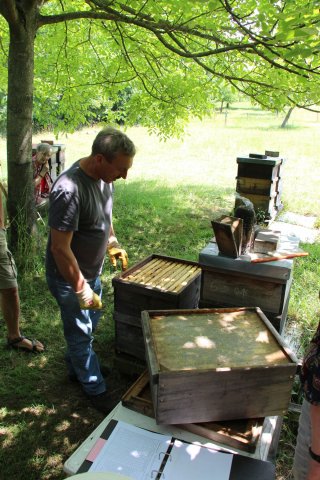 Exkursion Imkerei Selzer, 11.07.2015