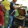 Excursion Imkerei Selzer, 